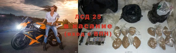стаф Алзамай