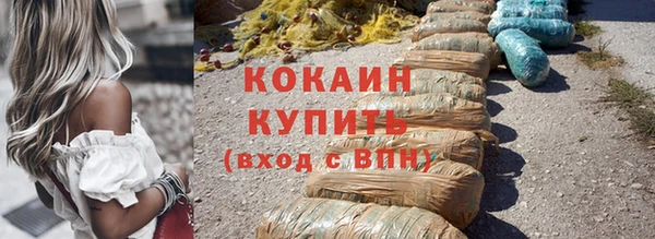 стаф Алзамай