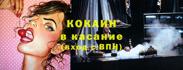 стаф Алзамай