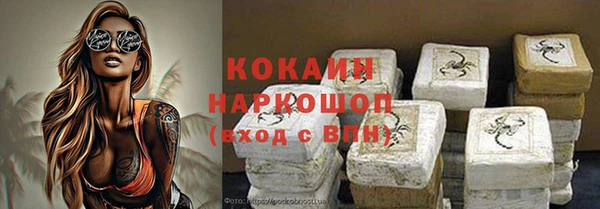 стаф Алзамай