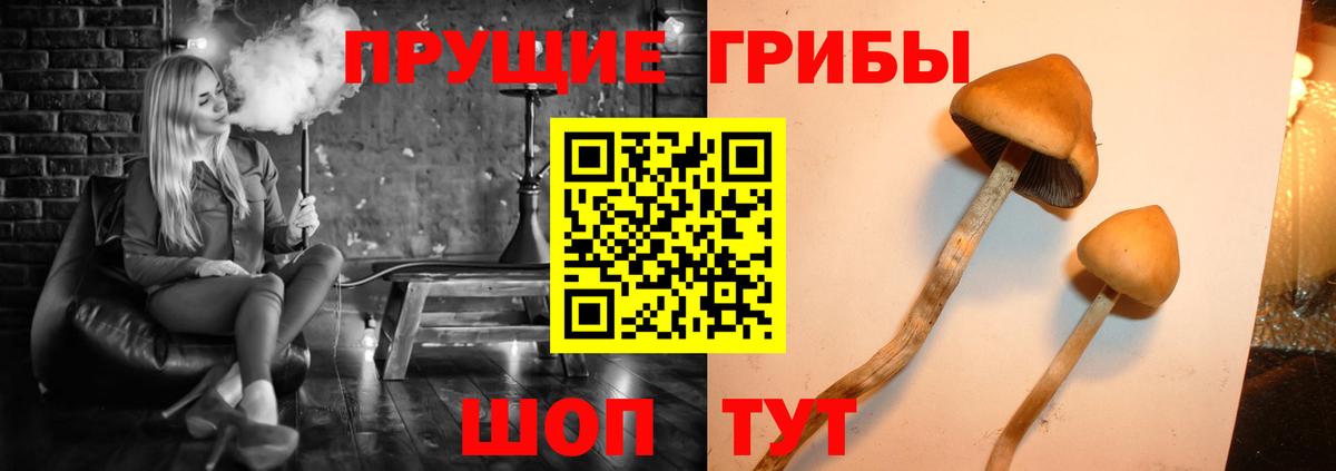 Галлюциногенные грибы прущие грибы Биробиджан